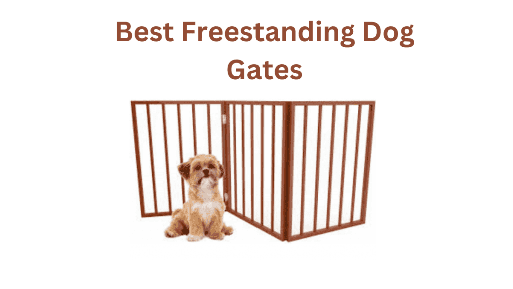 Best Freestanding Dog Gates