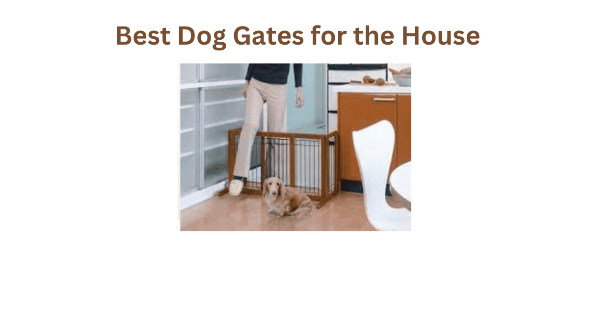 The Best Dog Gates for the house to Create a Pet Paradise!