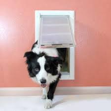 how to install a dog door in a wall