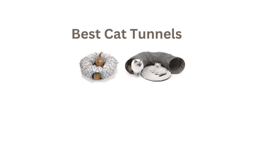 Best Cat Tunnel