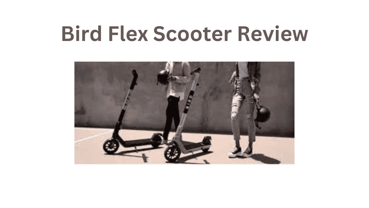 Scoot in Style with the Bird Flex Scooter Review Experience