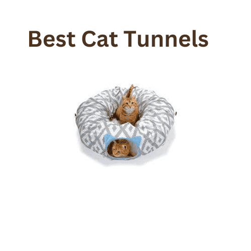Best Cat Tunnels