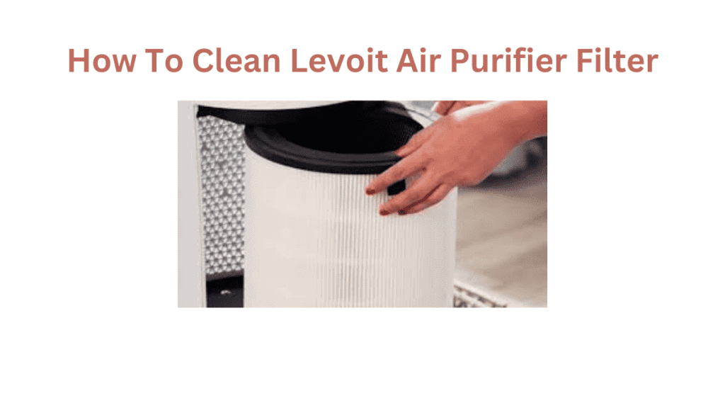 How To Clean Levoit Air Purifier Filter