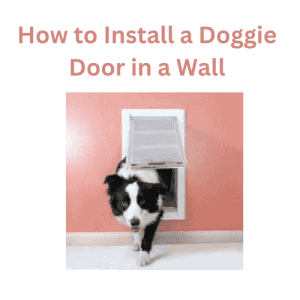 How to Install a Doggie Door in a Wall