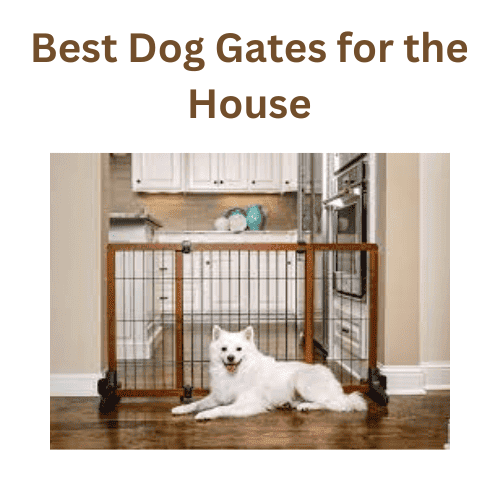 Best Dog Gates for the House