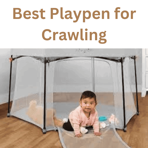 Best Playpen for Crawling