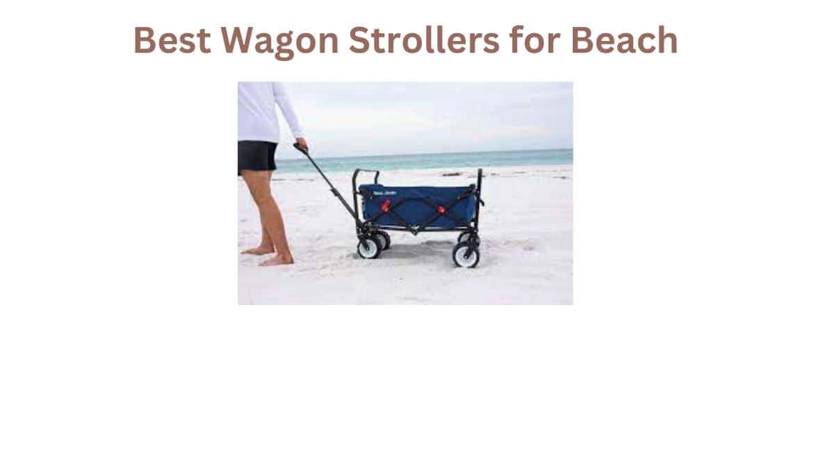 The 7 Best Wagon Stroller for Beach for 2024